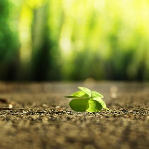 青青免费网站免费观看
